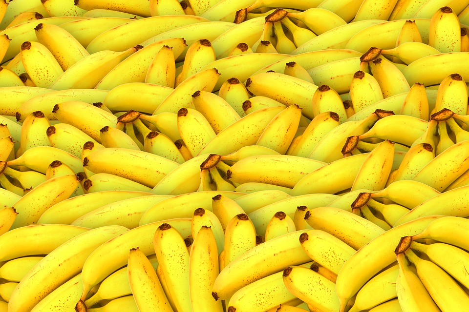 Erfahrungsbericht - 11 Tage Mono Eating mit Bananen
