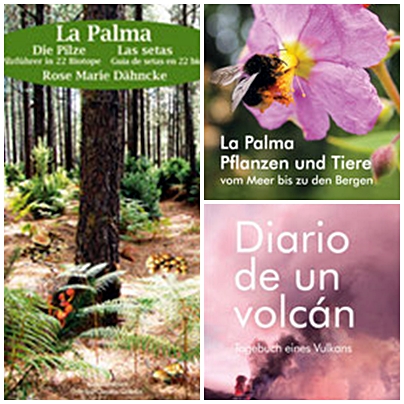 Presentaciones de libros 15.02.2025