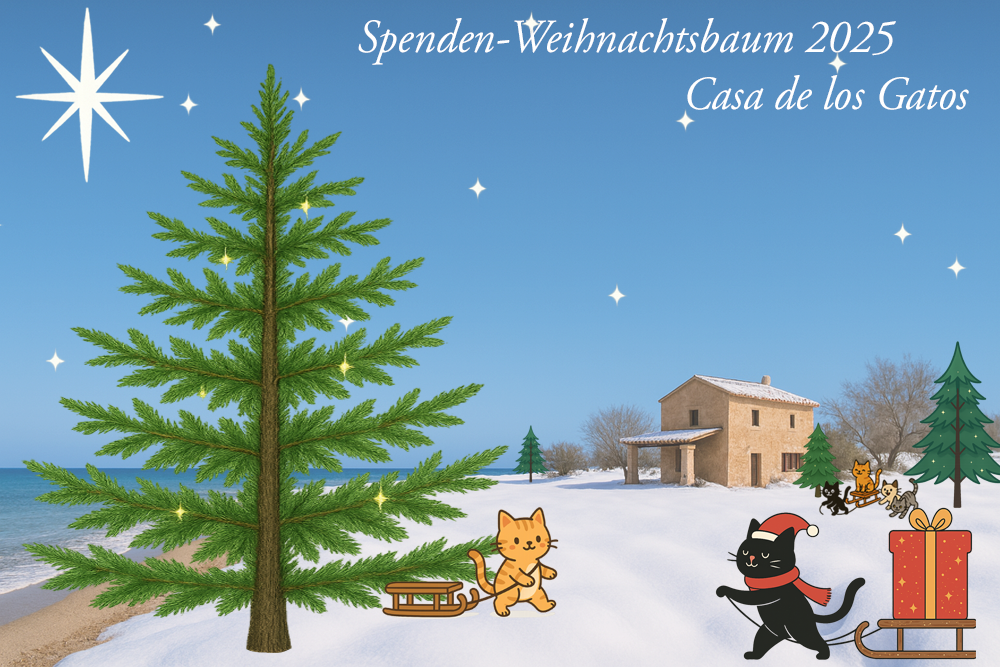 Spenden-Weihnachtsbaum 2025