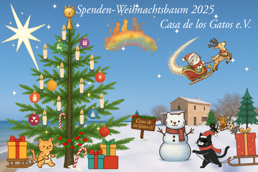 Weihnachtspendenbaum ist voll :)