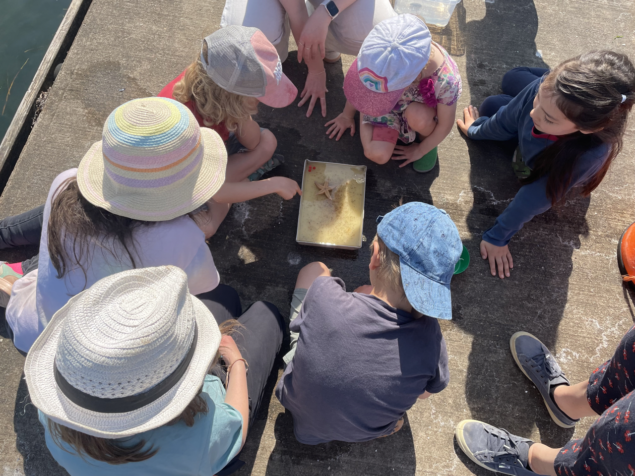 Zu Besuch im Ostsee-Labor