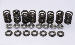 Custom Hi-Lift Spring Kit (Yam Roadstar 1600) (# 3045) 270 US Dollar