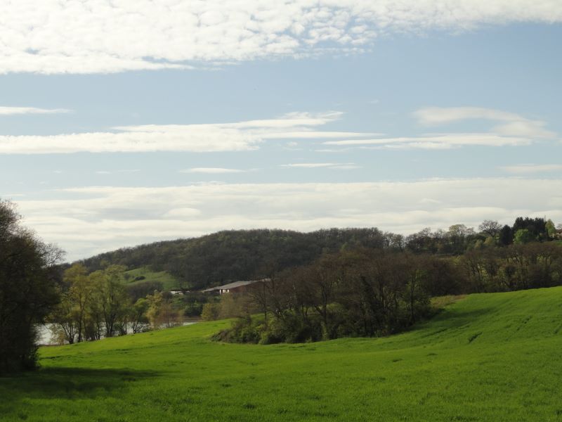 Une ferme vallonée, entourée de bois