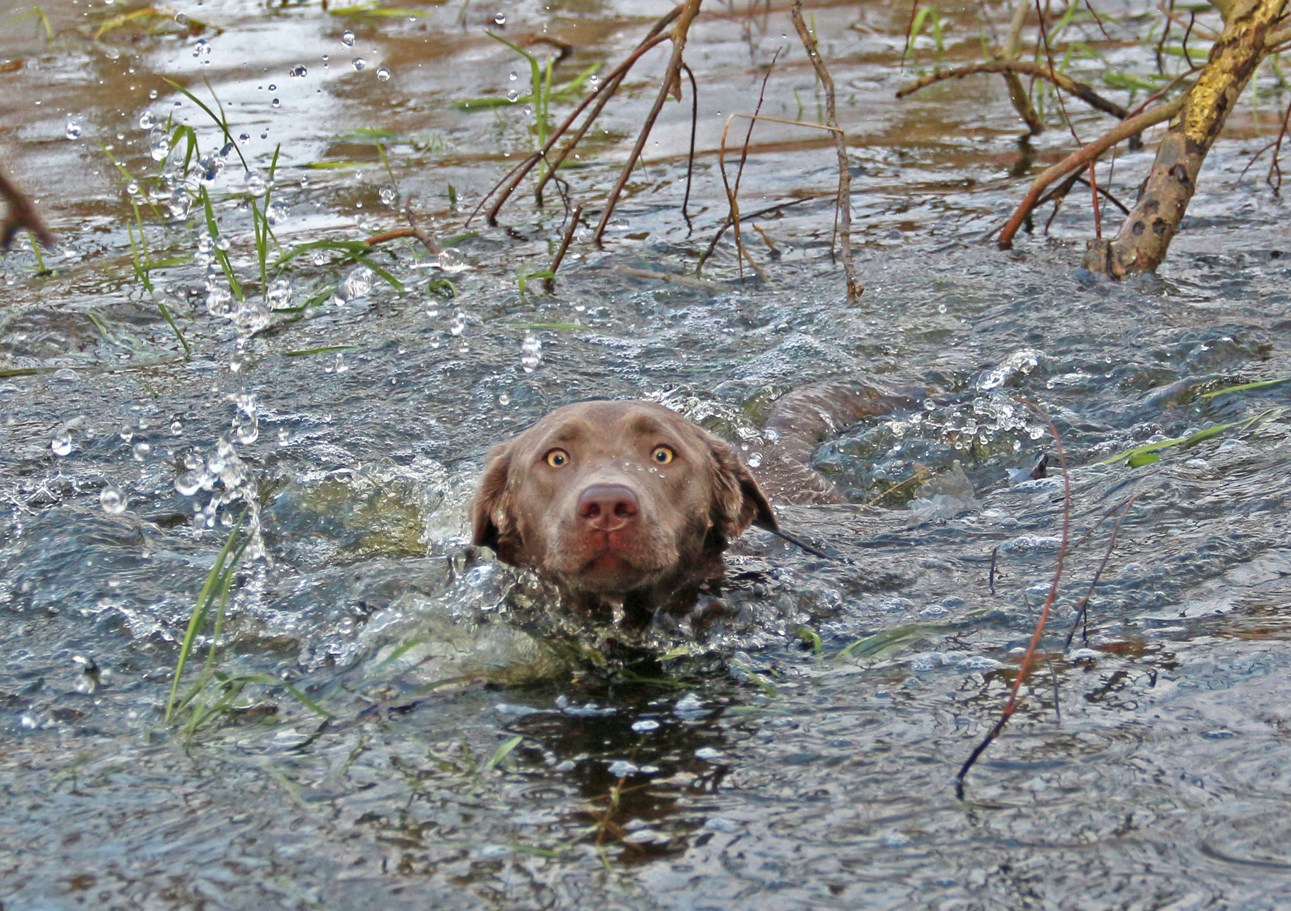 ach ne doch nicht. Ich schwimm lieber noch ne Runde ;)