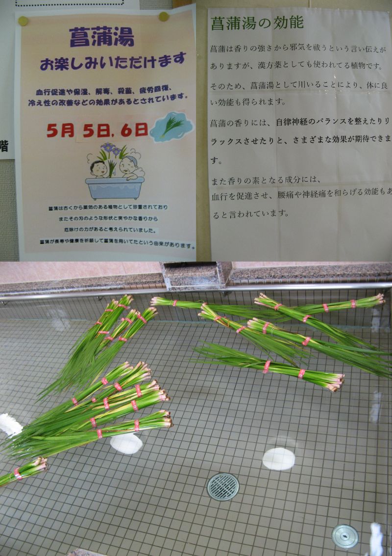 菖蒲湯（養護）