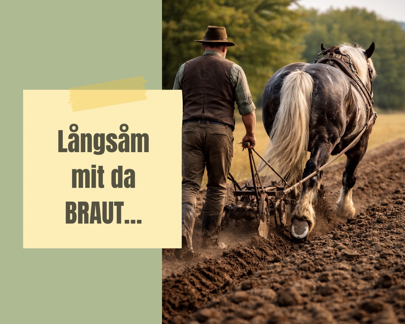 Das FEUER.Pferde.YANG-Jahr