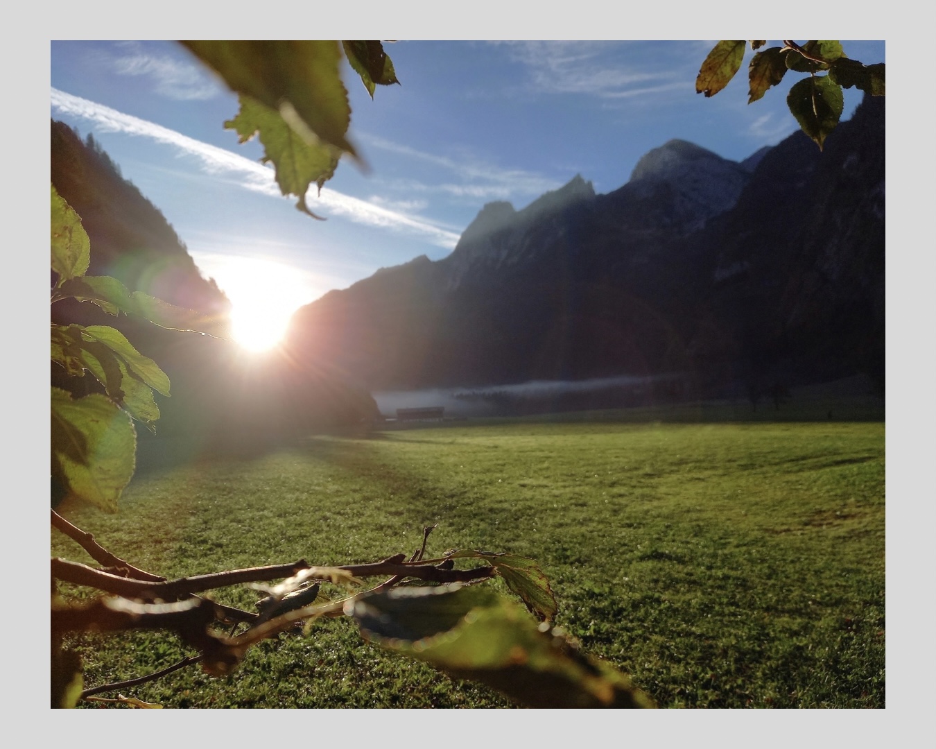 Metall - der Herbst in der TCM