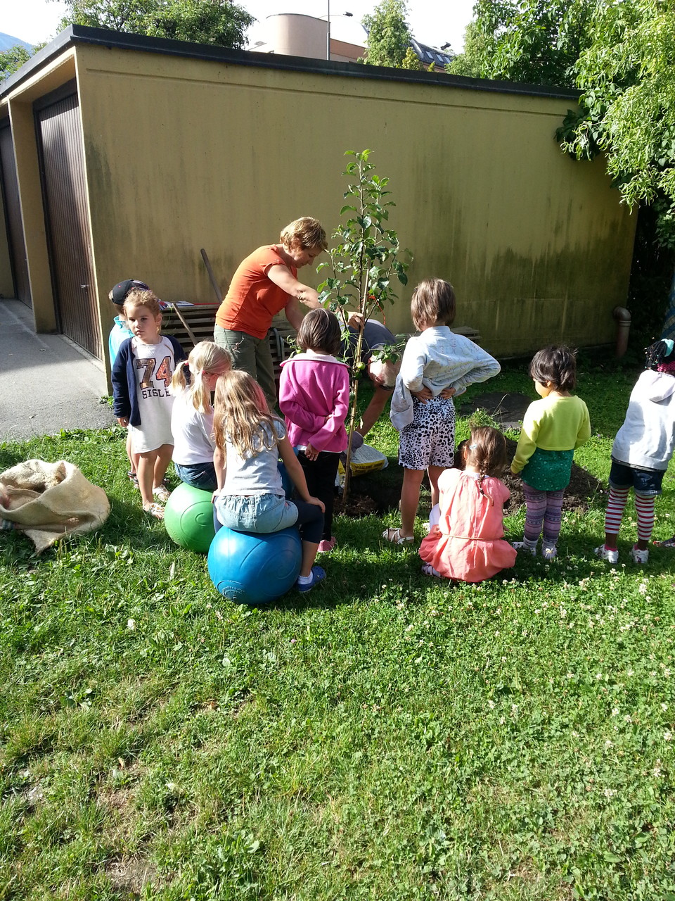 Apfelbaum pflanzen im Kindergarten - Pfarre Pradl