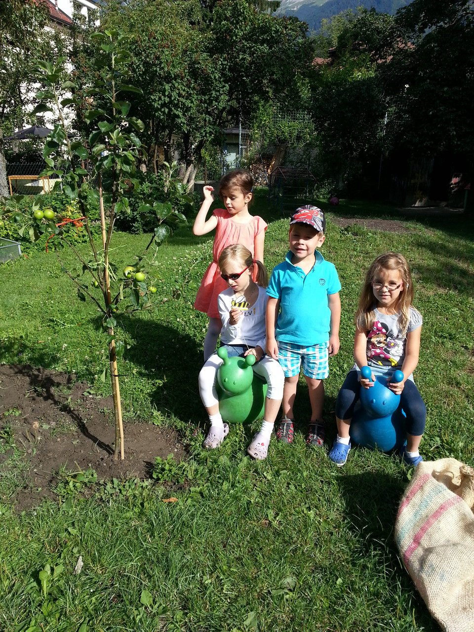 Apfelbaum pflanzen im Kindergarten - Pfarre Pradl