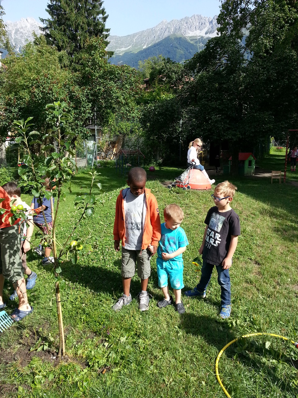 Apfelbaum pflanzen im Kindergarten - Pfarre Pradl