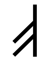fehu renversée