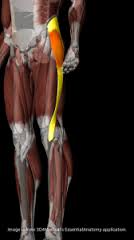 fisioterapia sindrome cintilla iliotibial, solucion sindrome cintilla iliotibial, osteopatia sindrome cintilla iliotibial madrid vallecas, fisioterapia madrid sabados, lesiones comunes ciclismo, lesiones comunes ciclistas