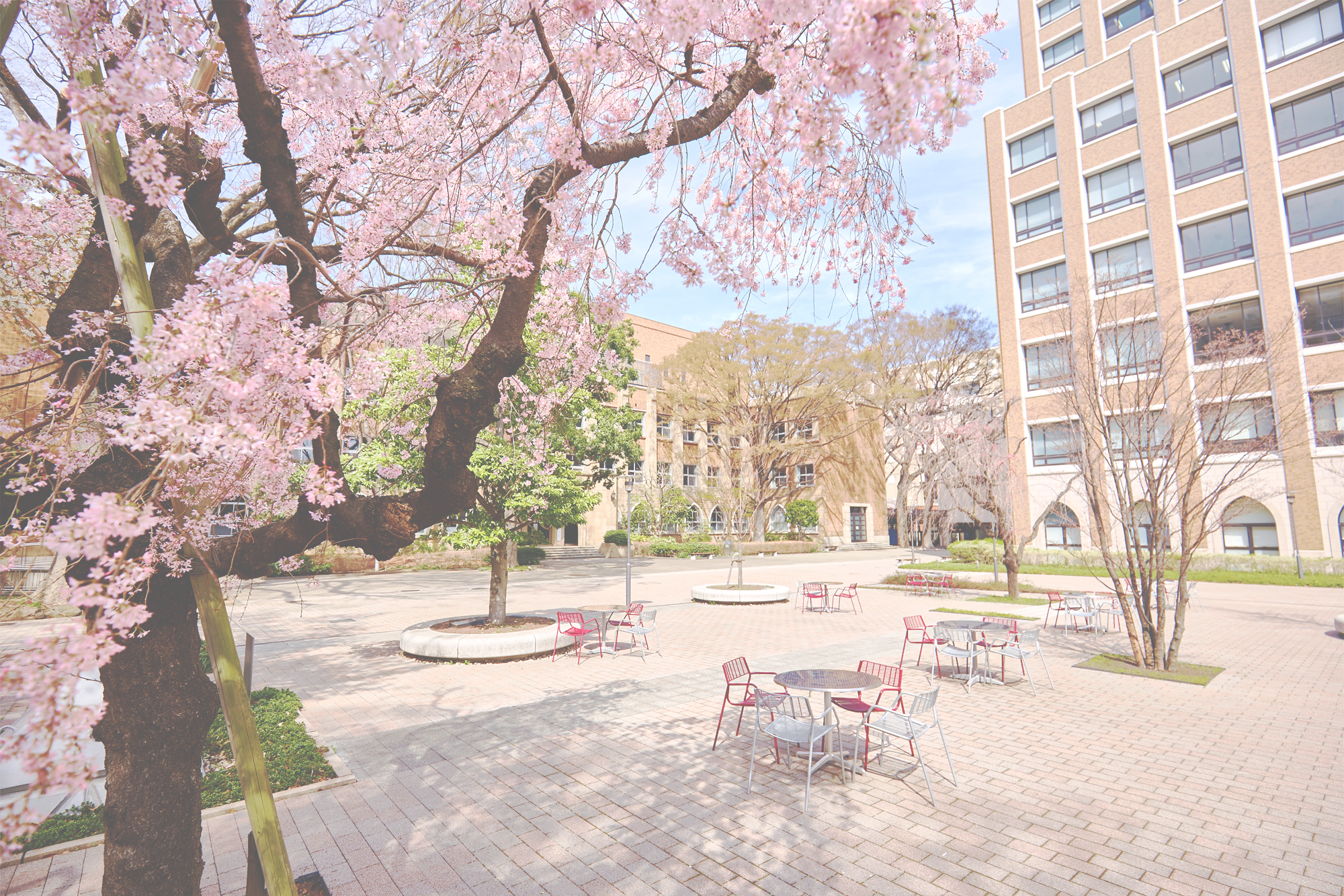 学習院大学 学習院大学（受験生向け） | LINE Official Account