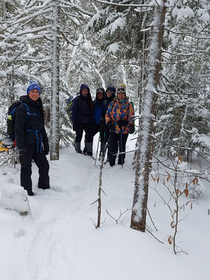 C'est le chemin du retour dans une forêt calme