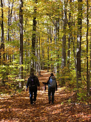 Pierre et Dominique en marchant dans les sentiers de Rigaud