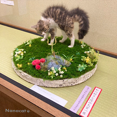 羊毛フェルト作家 ちゃちゃきななHP - Nanacat 羊毛フェルト作家