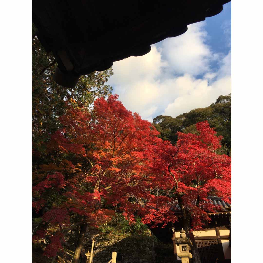 東福寺三門