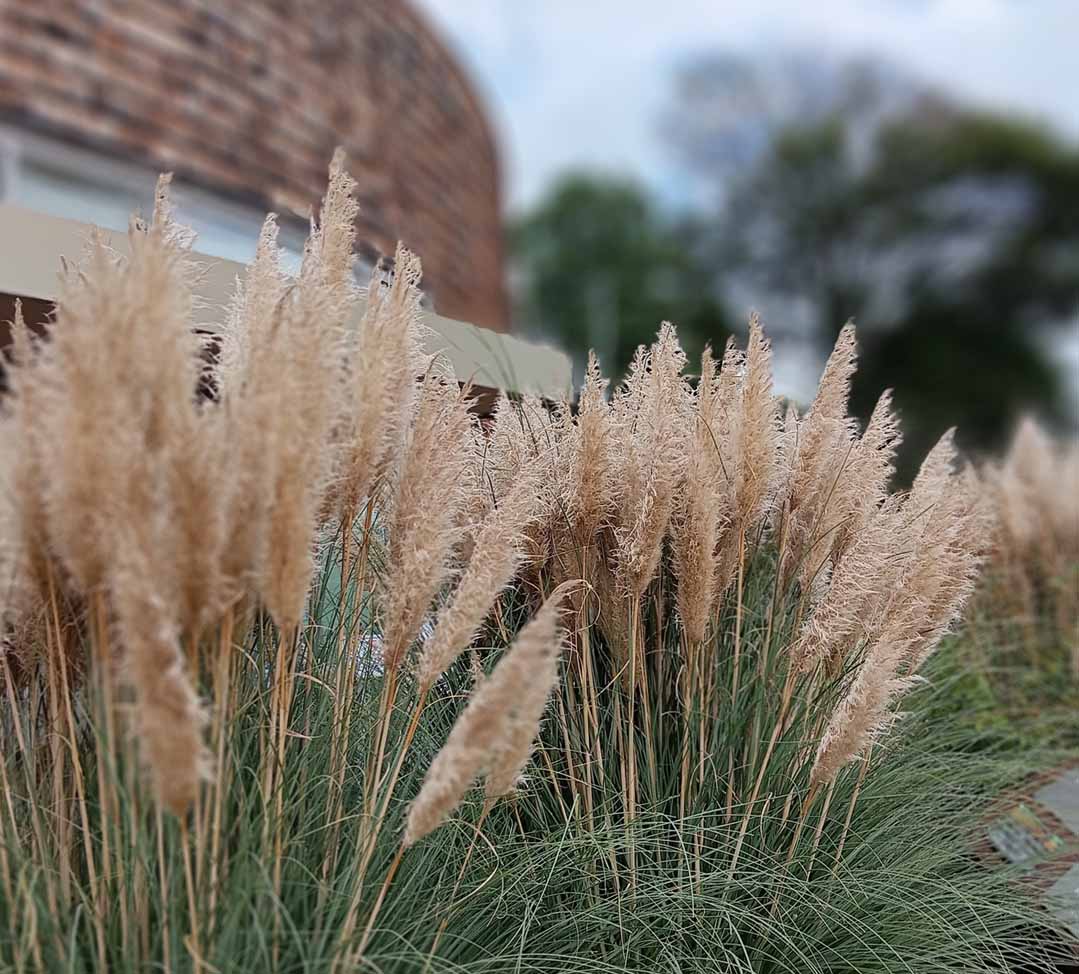 便利は不便のはじまり…か