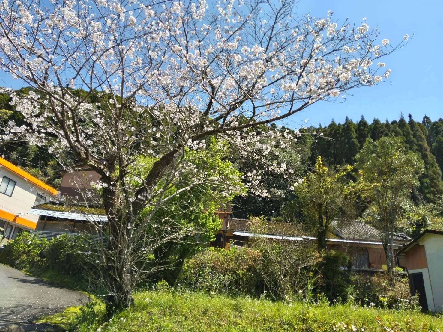 ユアースポーツ担当レッスンについて