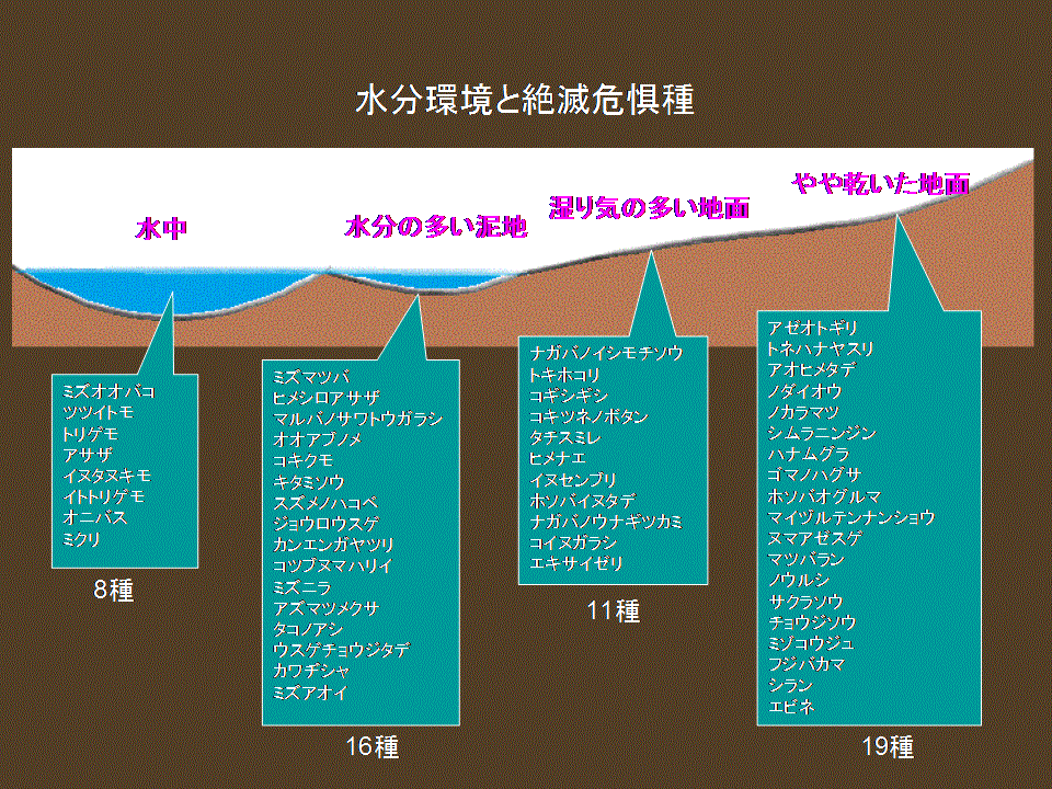 図：渡良瀬遊水地で、様々な水環境にそれぞれどの絶滅危惧種が生育しているかを示す。