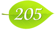 205号室