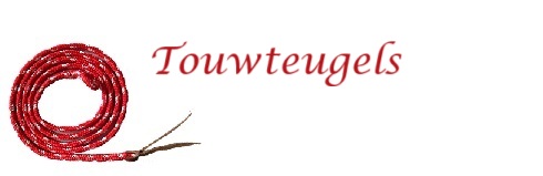 Touwteugels