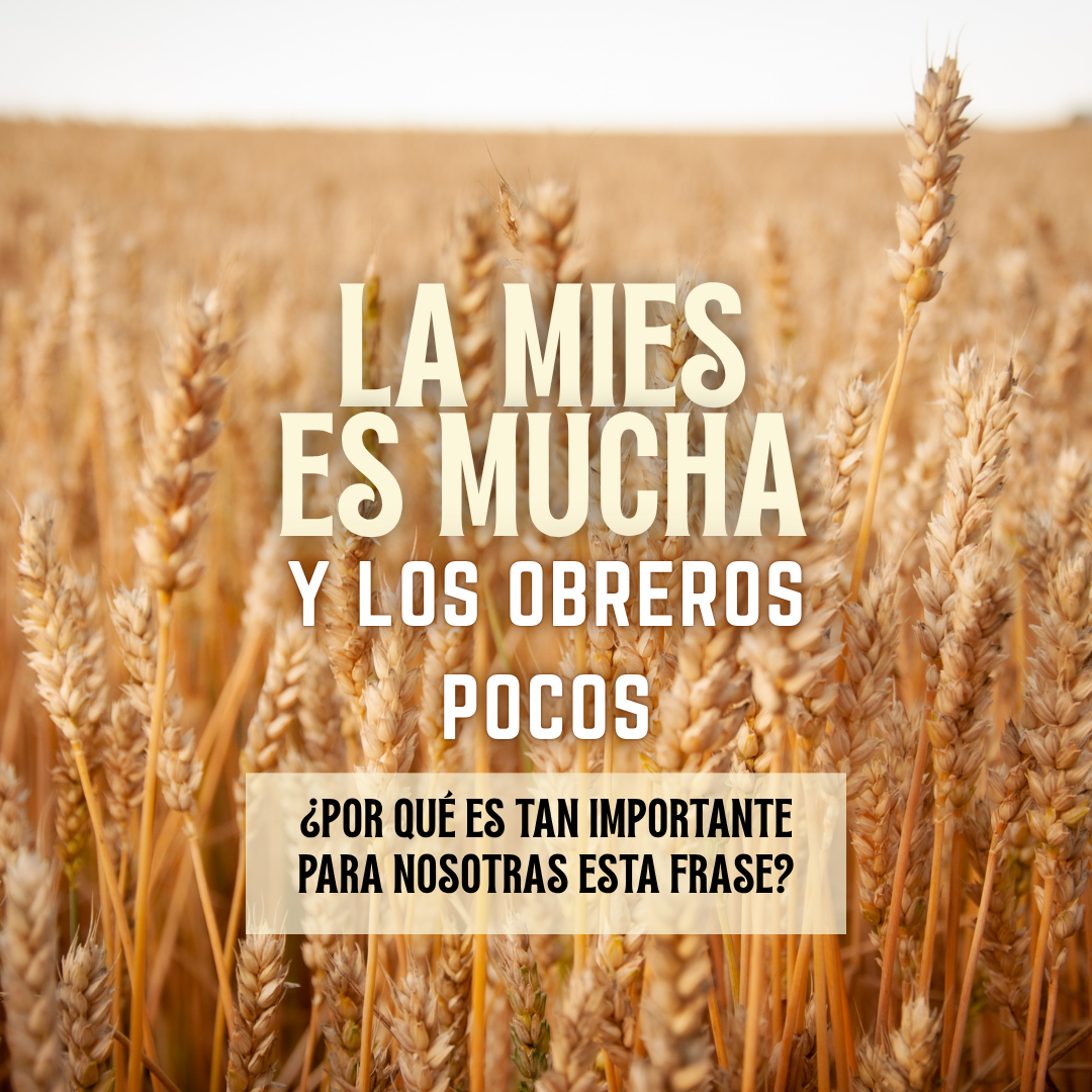 "Pequeña historia" de "La mies es mucha"
