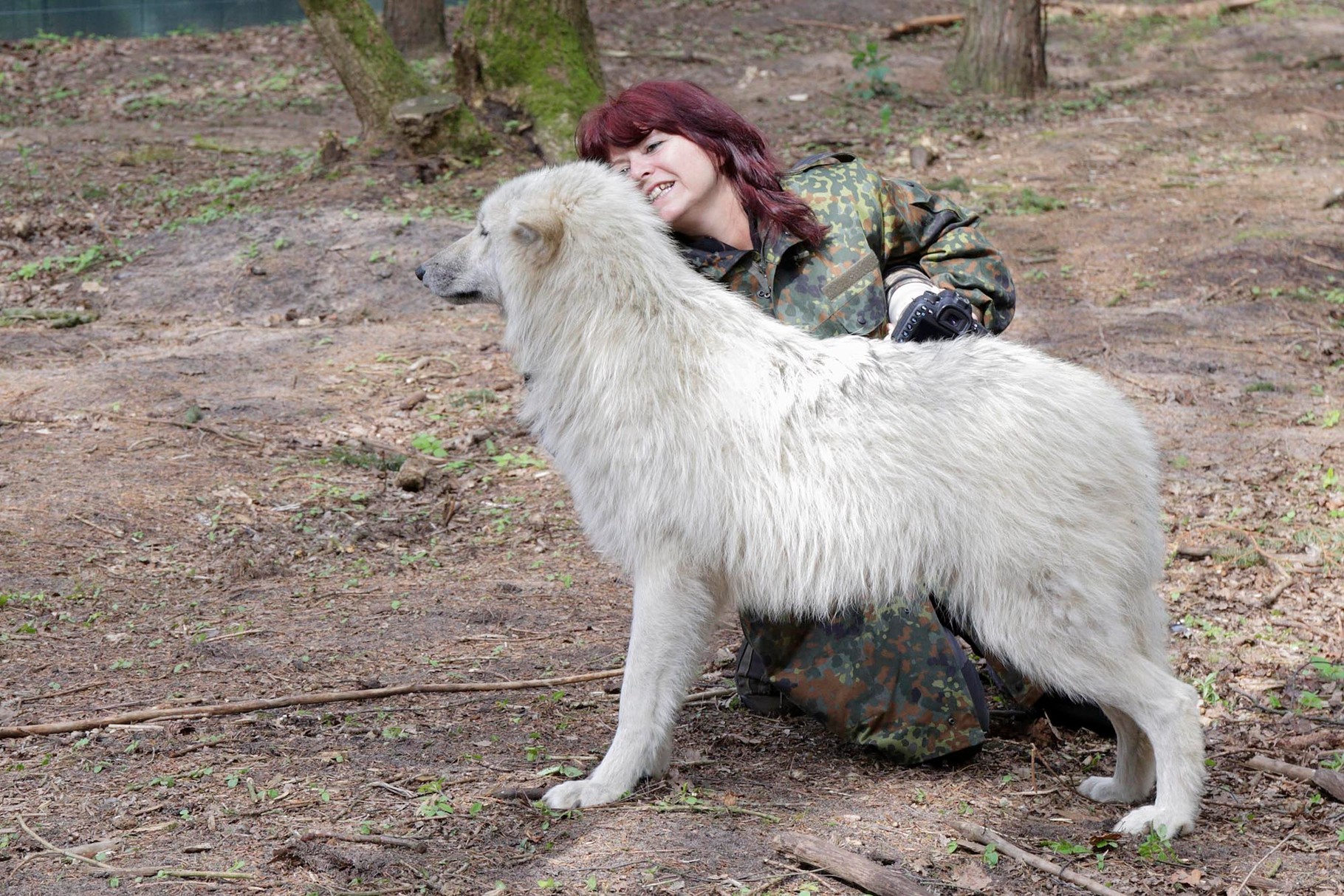 Kommunikation mit dem Wolf