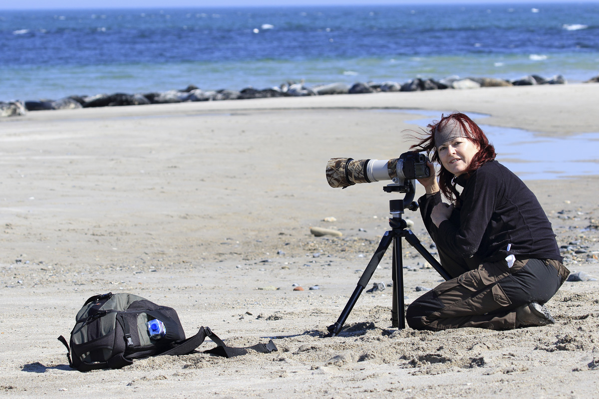 Workshop auf Helgoland 