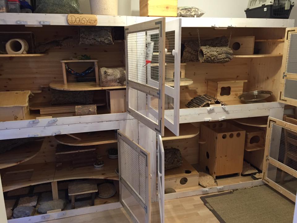 Minimum size for chinchilla cage and cage size