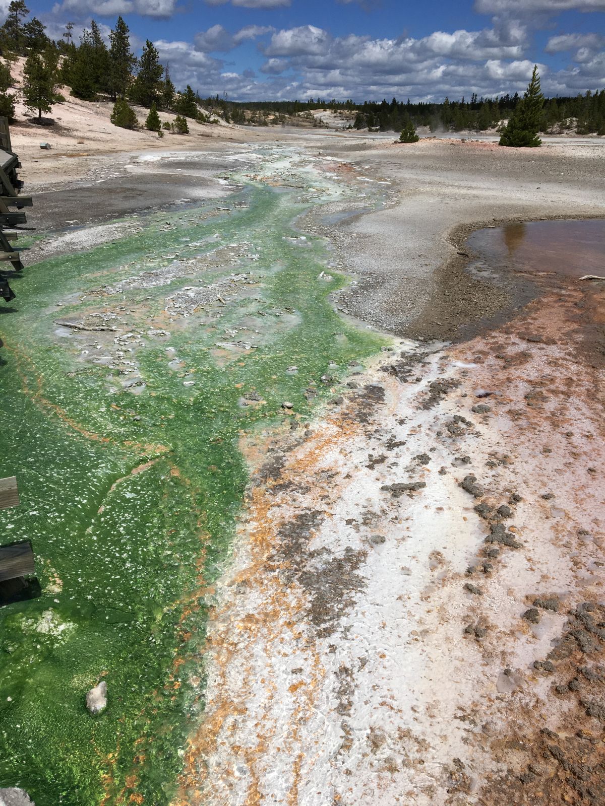 Yellowstone und Teton Nationalpark - Abenteuertour Panamericana