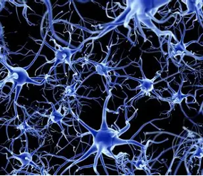 Les apports des neurosciences dans la compréhension des processus de changement