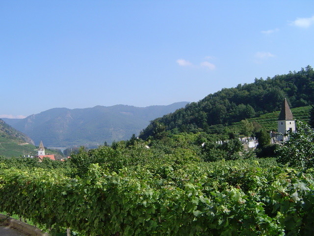 Die Wachau