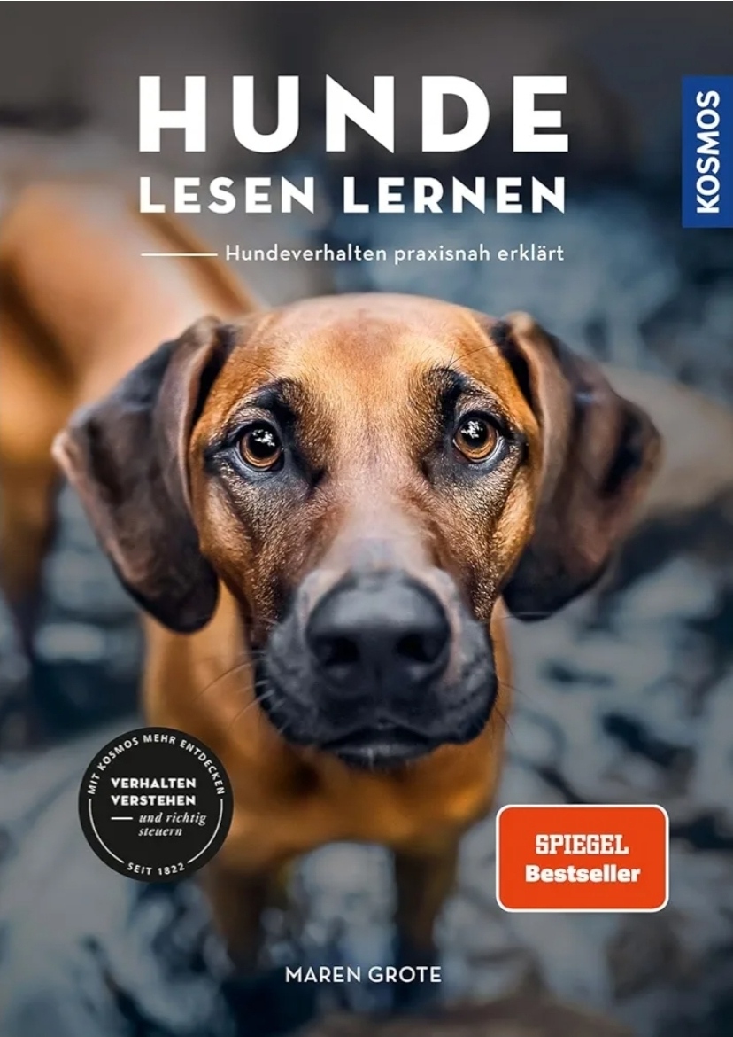 Hunde lesen lernen (Maren Grote)