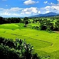 Ban Hua Nam Mushroom Farm - Nan Province