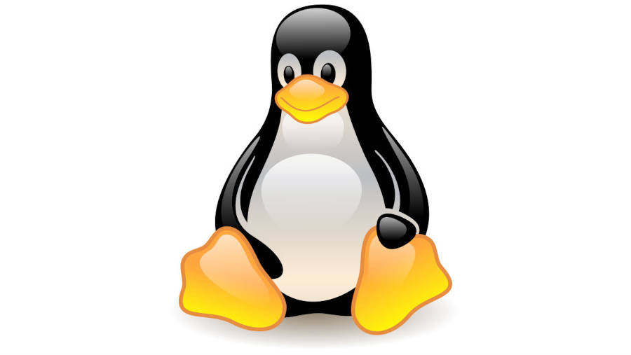 Top 5 des meilleures distributions Linux pour remplacer Windows