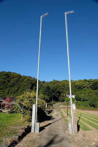 本庄市児玉町小平 日本神社参道