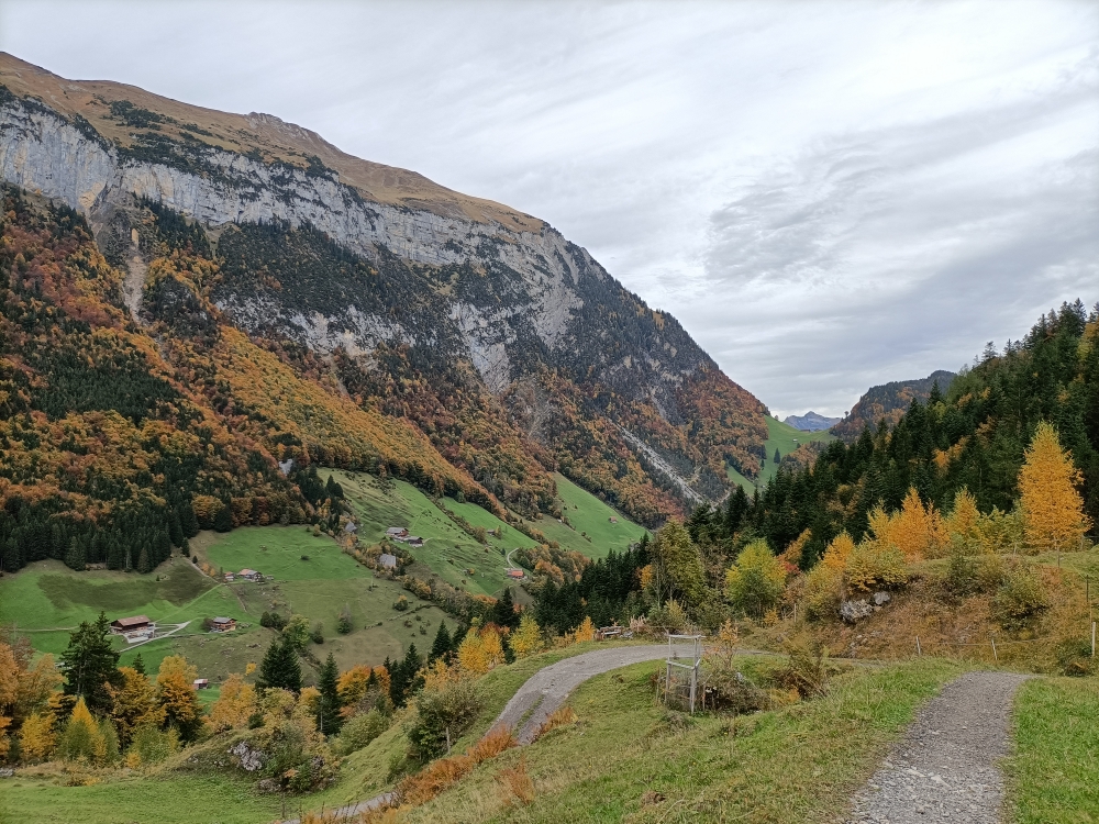 Ein paar Herbst-Impressionen von unserer wunderschönen Umgebung.