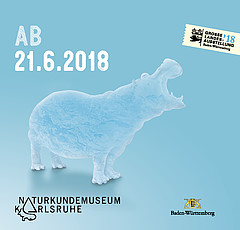 Ice Age in Karlsruhe