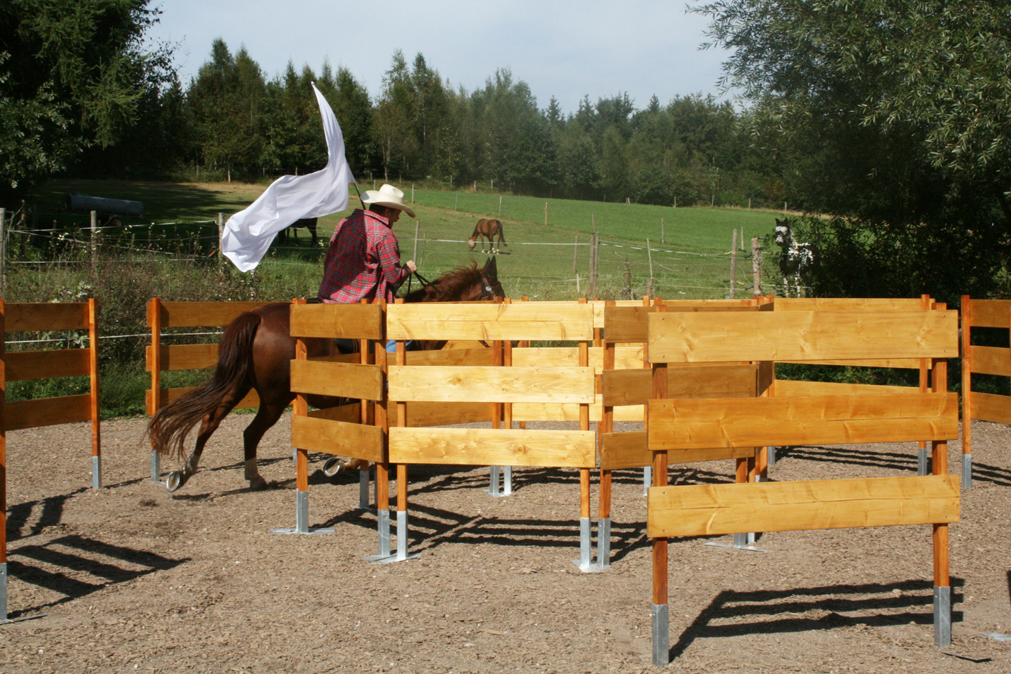 Working Equitation Zubehör / MammutRaufen