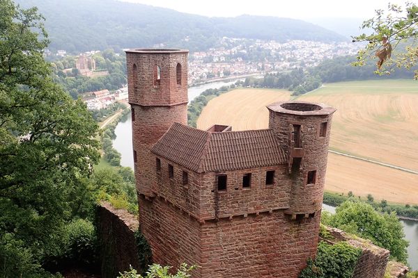 Burg Schadeck (Schwalbennest)