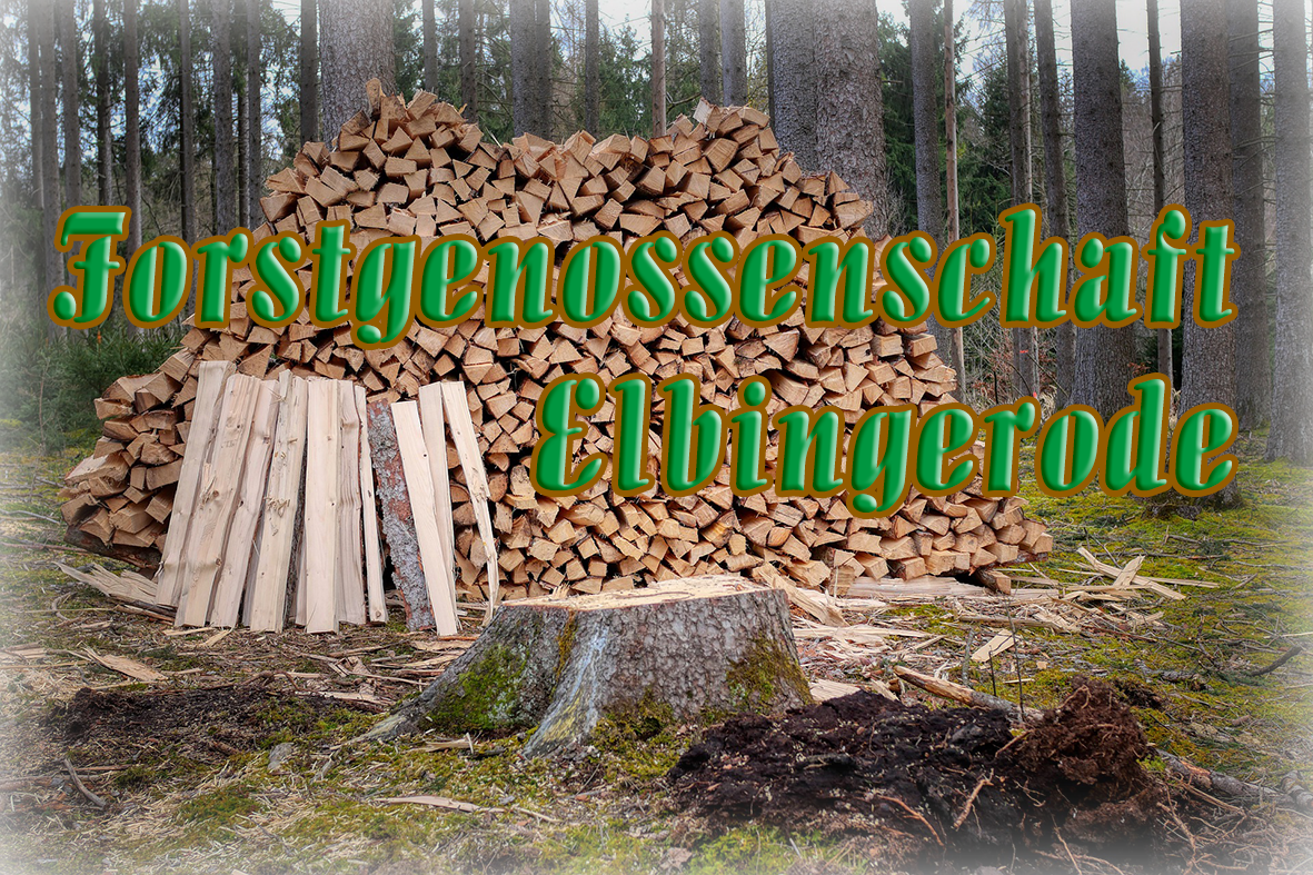 Unser Mitglied - Die Forstgenossenschaft Elbingerode informiert ...