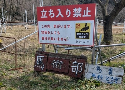倒れていた馬術部看板も復活🐦🔥