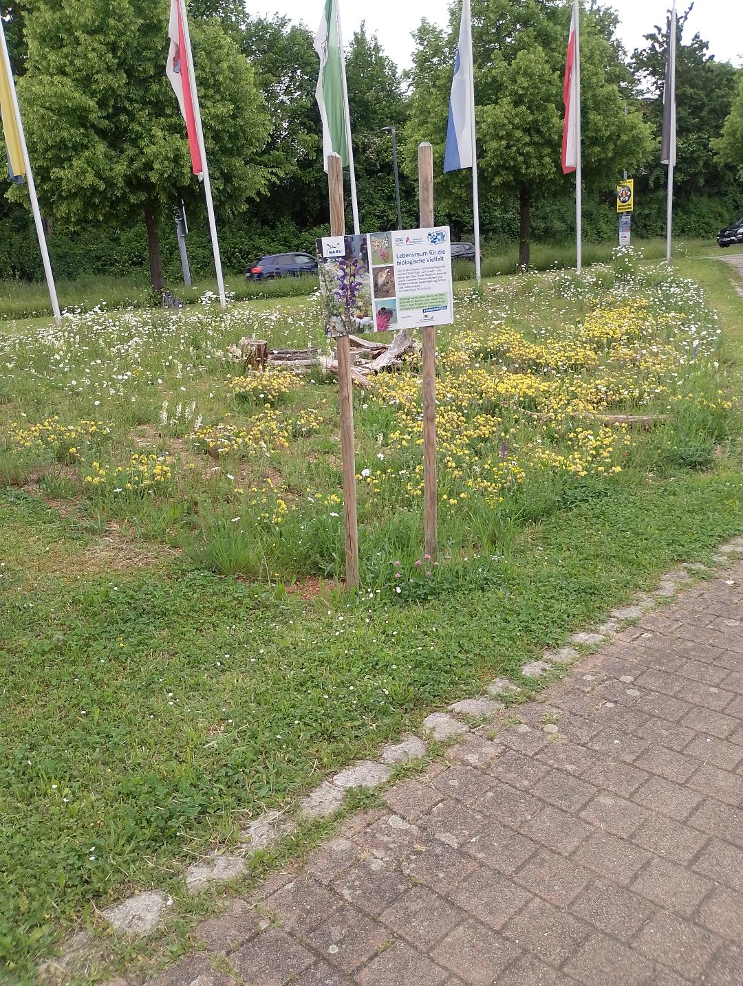 Blühende vielfallt beim Bürgerzentrum
