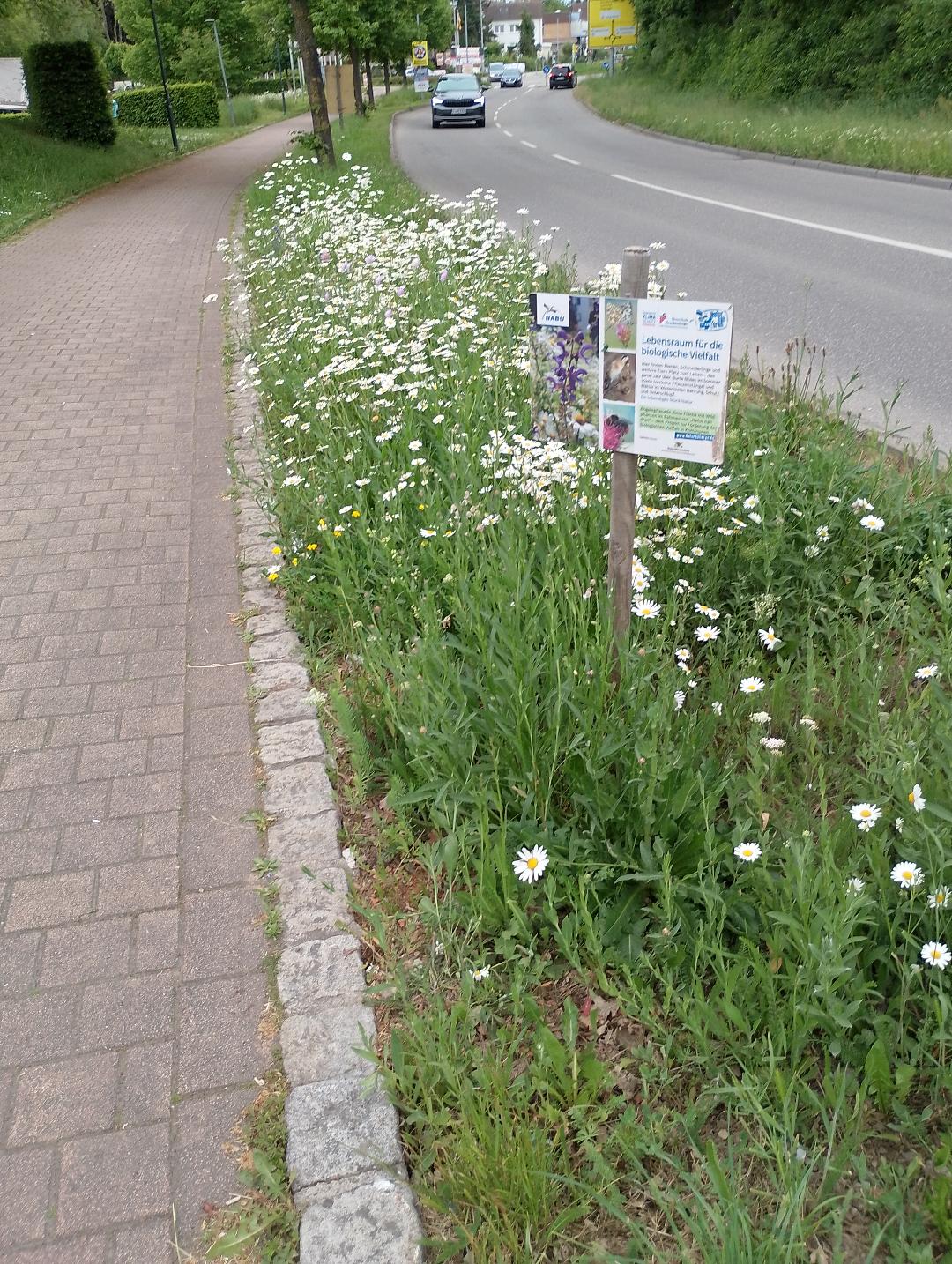attraktiver Grünstreifen