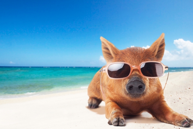 ホットペッパービューティー月１万円プランの実際 前編 じぶん開業塾 小さな店舗や教室の集客と開業