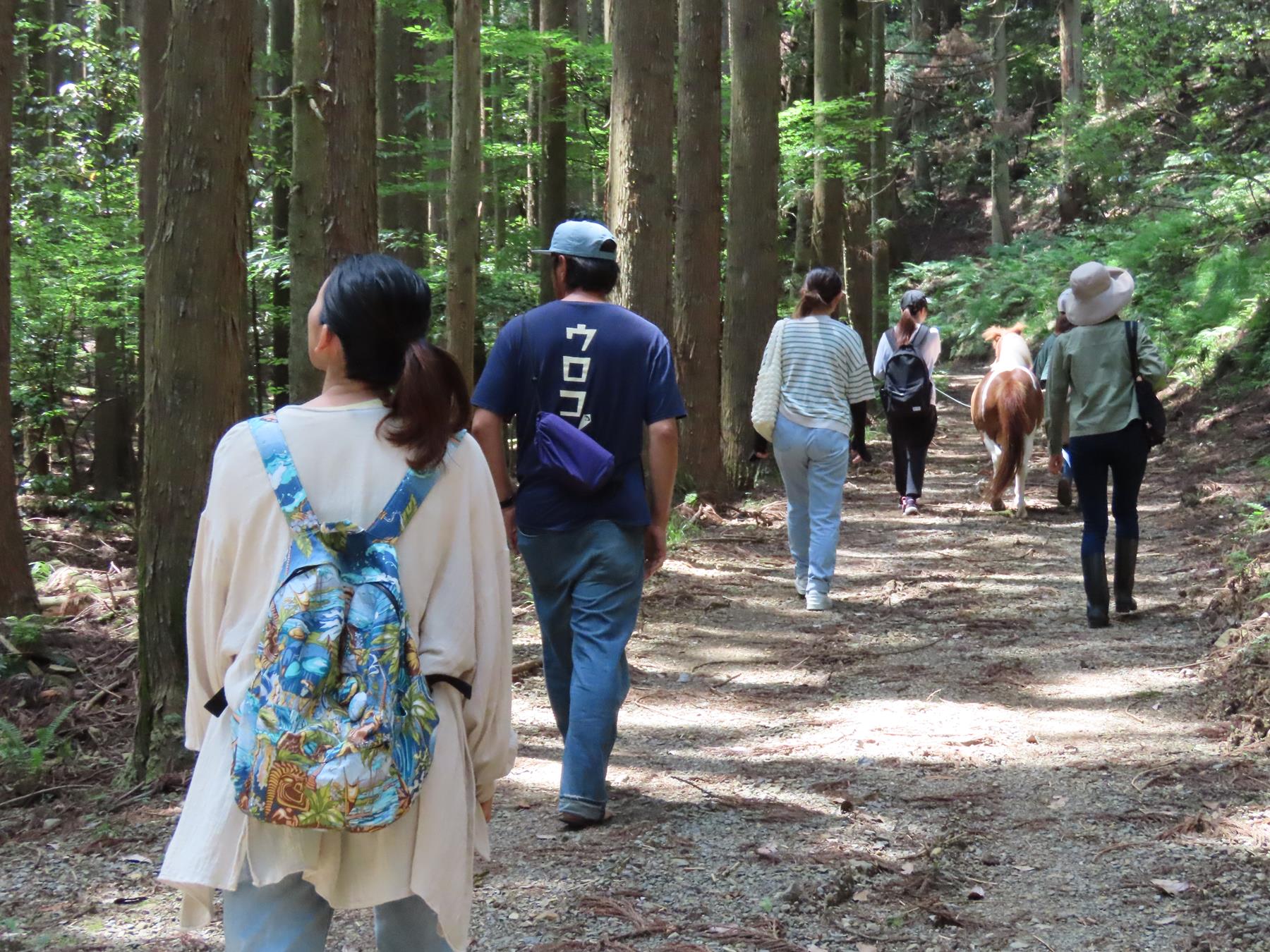 馬と森を歩く森林浴リトリート(2)
