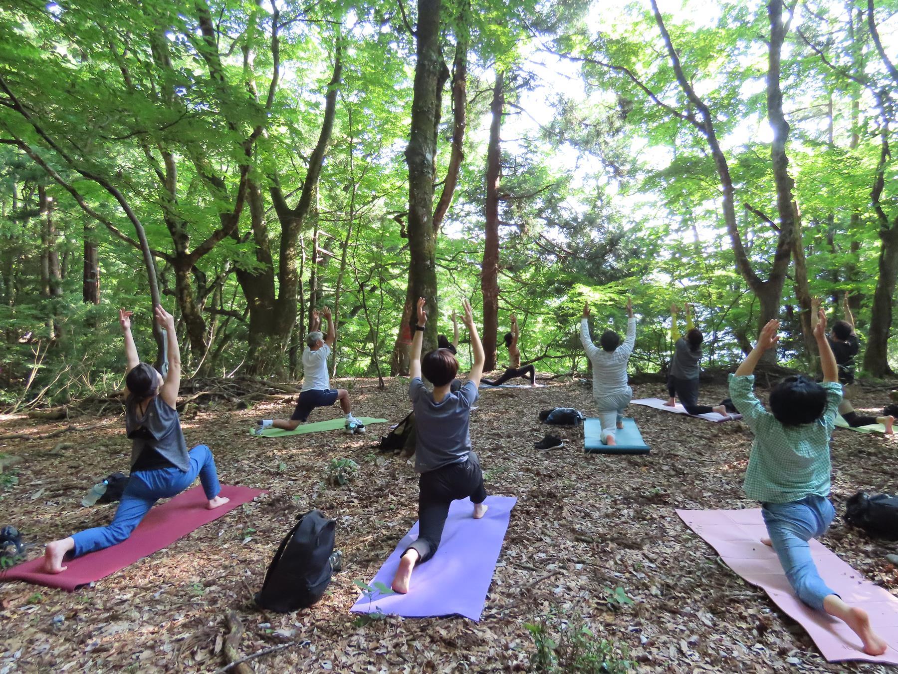 菅山寺の森、YOGAから始まる朝