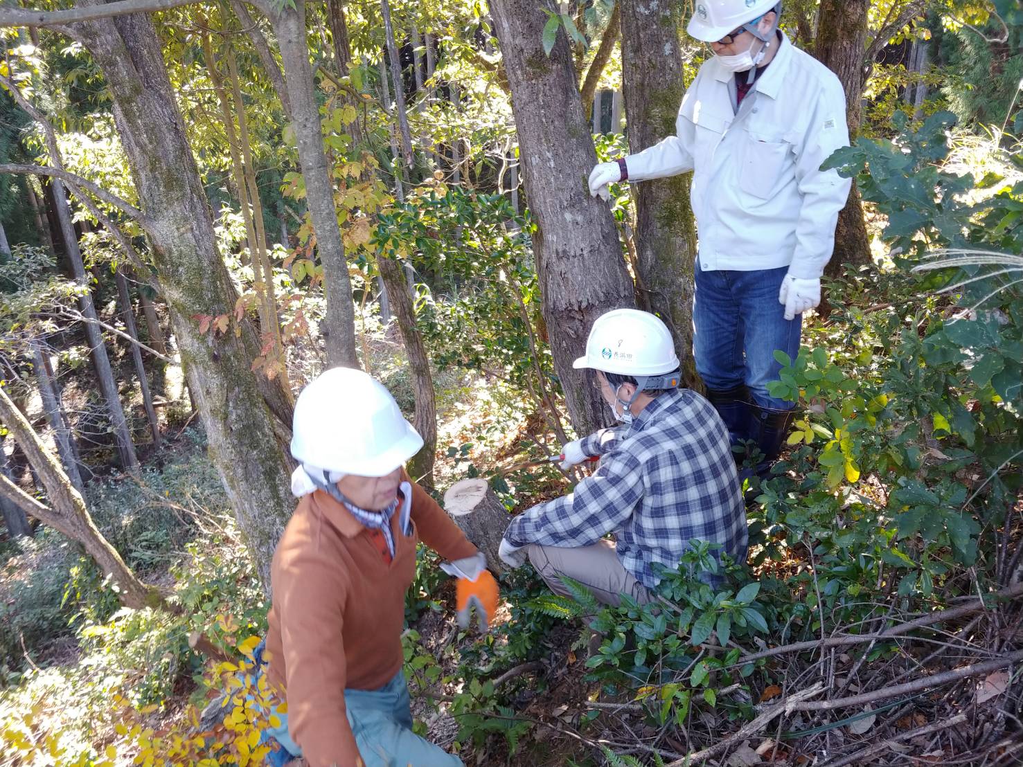 山村で過ごす林業週末体験