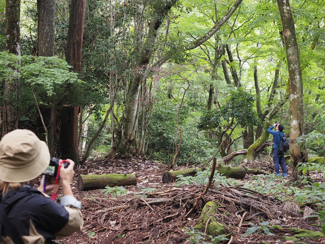 ミーツザ菅山寺フォレスト2023ミラーレス一眼で撮ろう！菅山寺フォトトレッキング